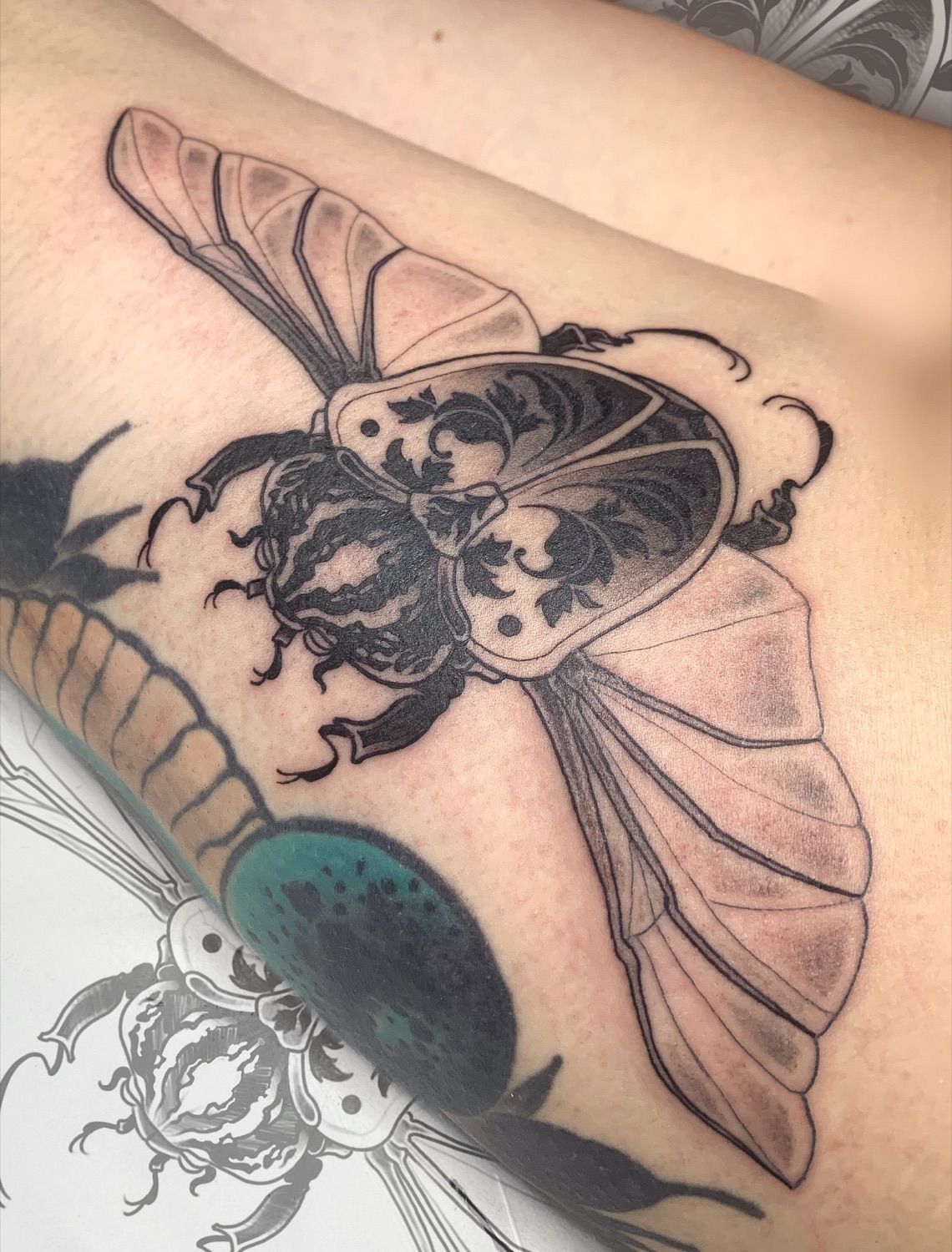 Tatouage scarabée ornemental en noir et gris